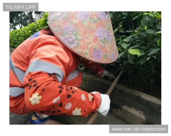 遇到凯发网投会员登录不了怎么办？详细排查步骤与解决技巧推荐